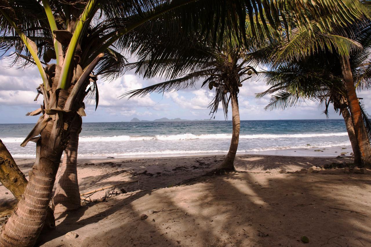 Petite Anse Hotel Mount Alexander Exterior photo