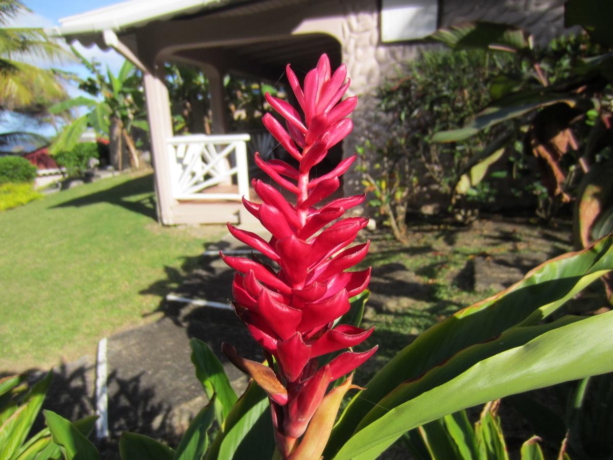 Petite Anse Hotel Mount Alexander Exterior photo