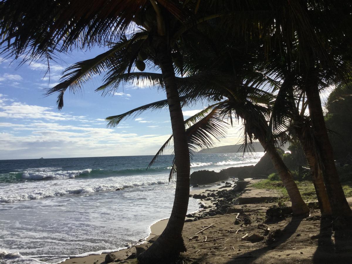 Petite Anse Hotel Mount Alexander Exterior photo